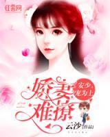 安少，寵妻有理