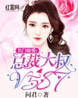 名門掠愛：總裁V587