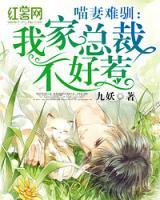喵妻難馴：我家總裁不好惹
