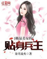 超級女神的近身護(hù)衛(wèi)