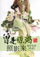 曾是驚鴻照影來