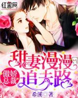 傲嬌總裁：甜妻漫漫追夫路