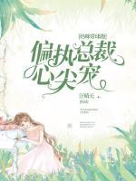 媽咪帶球跑：偏執(zhí)總裁心尖寵