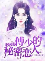 舊愛(ài)新歡，傅少的秘密戀人