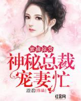 神秘總裁寵妻忙