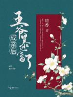 重生之錦繡商妃