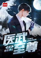 醫(yī)武至尊