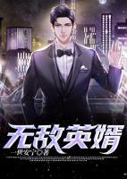 無(wú)敵英婿