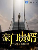豪門貴婿