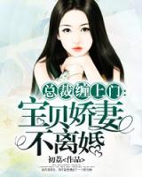 總裁纏上門：寶貝嬌妻不離婚