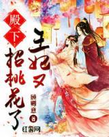 殿下，王妃又招桃花了