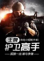 王牌護衛(wèi)高手