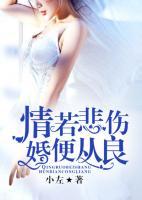 情若悲傷，婚便從良