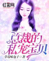總裁的寶貝
