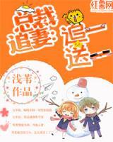 總裁追妻：追一送一