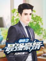 都市之最強(qiáng)豪婿