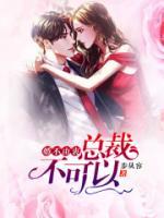 婚不由衷：總裁，不可以