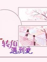 轉(zhuǎn)角遇到愛