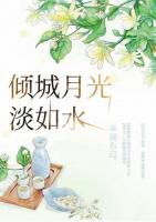 傾城月光淡如水