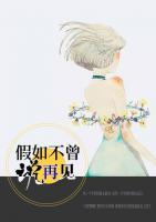 假如不曾說再見